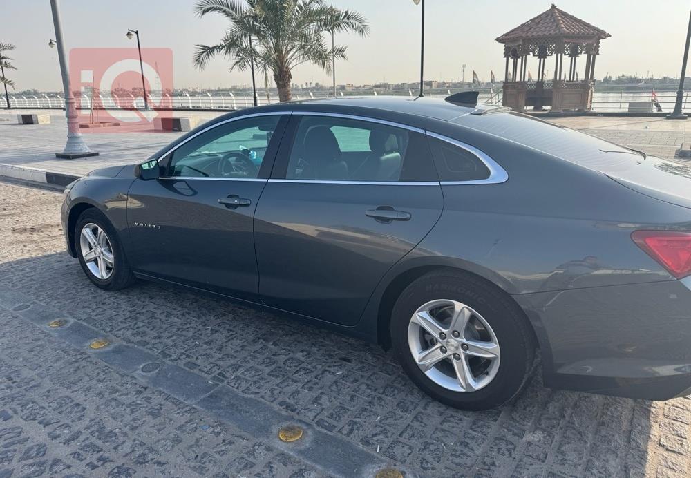 شيفروليه ماليبو